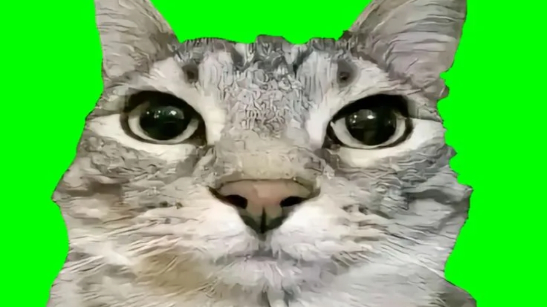 23-01-2026❄️Видео от Пелагеюшки 👍👍 смотреть онлайн