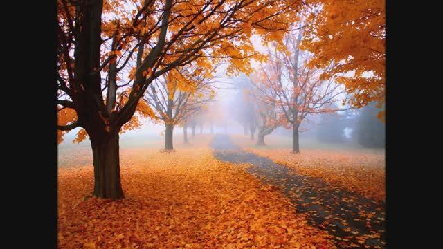 Осень танцует блюз смотреть онлайн