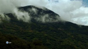 Чудеса природы 20 серия (документальный сериал, 2011)