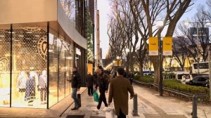 Прогулка по Токио от Харадзюку до Сибуи