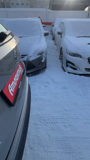 SKODA Kodiaq Кроссовер 5 дв. Hockey1.4 DCT 2019г смотреть онлайн