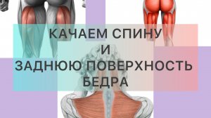 Качаем спину и заднюю поверхность бедра с FREYA ENERGY