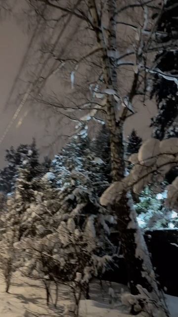 Теплого вечера 🌸#авторпесен #БогиняСвета смотреть онлайн