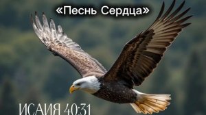 А надеющиеся на Господа обновятся в силе поднимут крылья, как орлы. / Песнь сердца