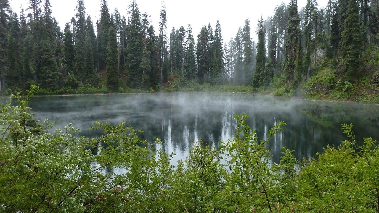 Прямая трансляция фишинг и мы! смотреть онлайн