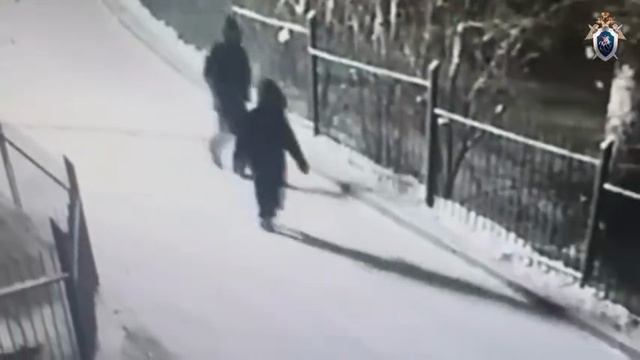 14-летний подросток ушёл из дома в Красноярске с неизвестным. СК возбудил уголовное дело о похищении смотреть онлайн