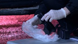 Квартира вместо любимых: семьи жертв маньяка Птицына требуют справедливости