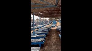 Rehana Sharm Resort Aqua Park 4* Подробный обзор Январь 2026, еда , номер, территория, море, анимац