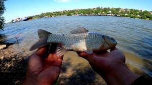 День на реке