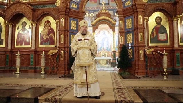 Проповедь митрополита Воронежского и Лискинского Леонтия. Воронеж, 6 января 2026 года. смотреть онлайн