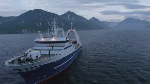 Имиджевый ролик для компании