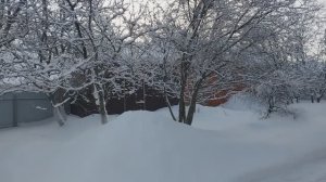 ИЗ ГОРОДА В ДЕРЕВНЮ. Пирог с капустой. Хлеб в хлебопечке.