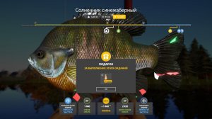Русская Рыбалка 4-Новогодние Экстра Задания 2026: Солнечник синежаберный не менее 1 кг, оз. Лосиное