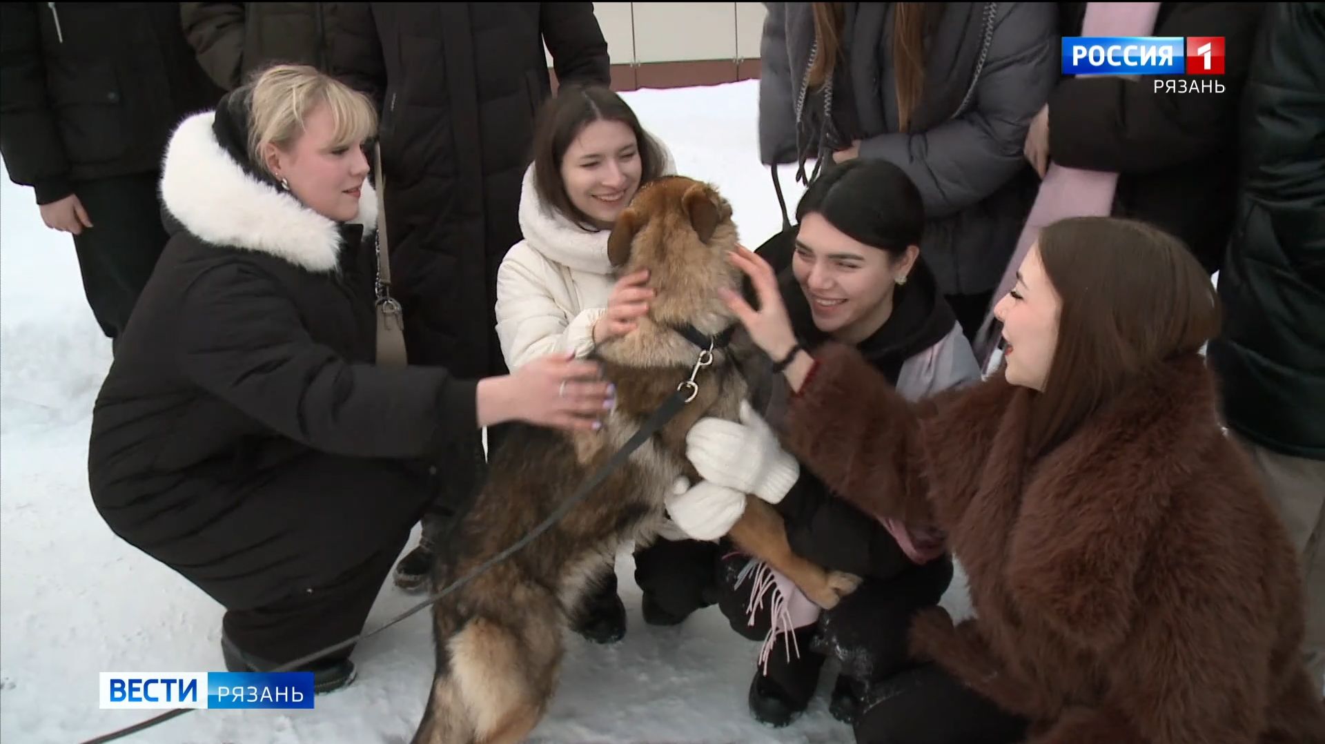 Учащиеся педагогического колледжа посетили кинологический центр УМВД смотреть онлайн