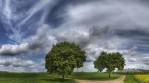 Там среди русских полей - Иван Ведерников