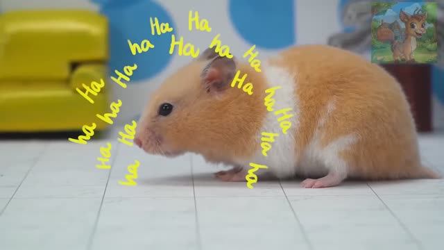 Маленький хомячок и Человек-паук играют в прятки — где спрятался хитрый Человек-паук смотреть онлайн