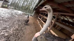 Ночью на крыше скользко ! Из этого будем делать машину ! ХУТОР В ЛЕСУ №907