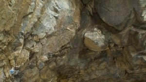 Чудеса природы 6 серия (документальный сериал, 2011)