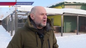 Глава Нижнего Новгорода Юрий Шалабаев посетил приют фонда «Сострадание НН»