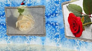 Картины Розы на Снегу в Ледяной Галерее 1 от Киностудии Мудрого Кота Тимофея!