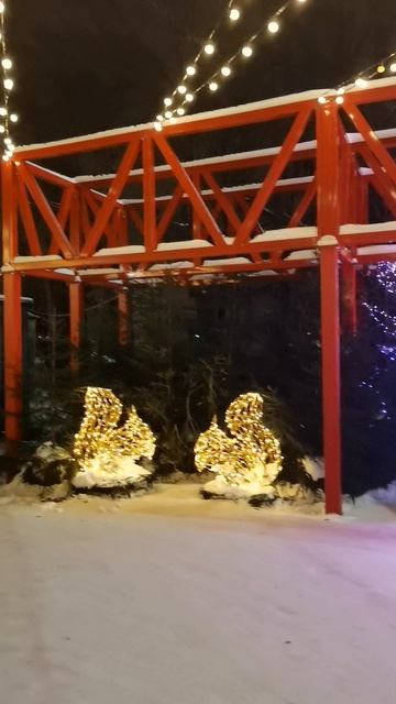 Каток на Елагином острове в Санкт-Петербурге. смотреть онлайн