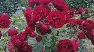 Все! Надоело! Ухожу из зимы! 🚶➡️