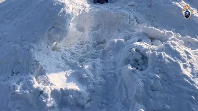 В Красноярском крае девочка погибла в снежном сугробе смотреть онлайн