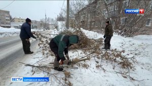 В Кирове проводят зимнюю уборку аварийных деревьев