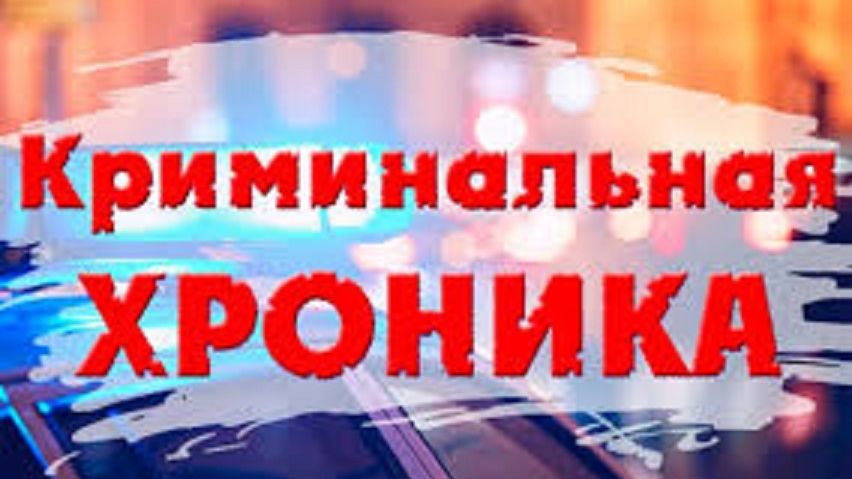 Тревожная хроника смотреть онлайн