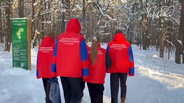 Покорми птиц смотреть онлайн