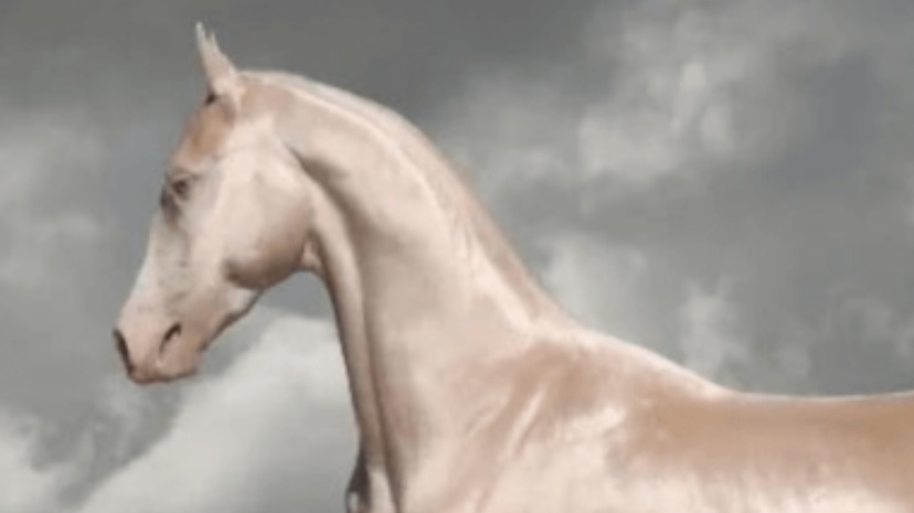 Обзор на дополнение к конюшне 👍 смотреть онлайн