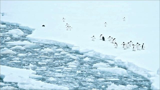 Заклинание Изобилия_ Что Не Делать 23 Января смотреть онлайн