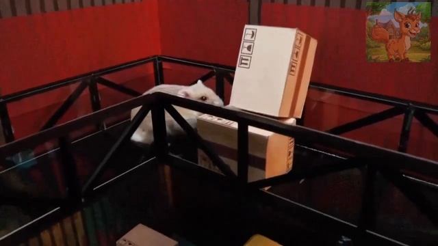 Маленький хомячок прибыл в темный лавовый лабиринт! Сможет ли он выбраться смотреть онлайн