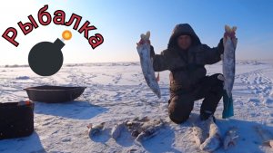 Дошёл туда куда не ступала нога рыбалка и результат порадовал.