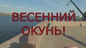 ВЕСЕННИЙ СПИННИНГ В ЦЕНТРЕ ГОРОДА✅