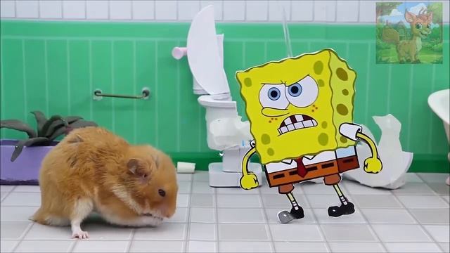 Маленький хомячок принимает к себе бездомного маленького босса, но Спайк попадает в большие неприят смотреть онлайн