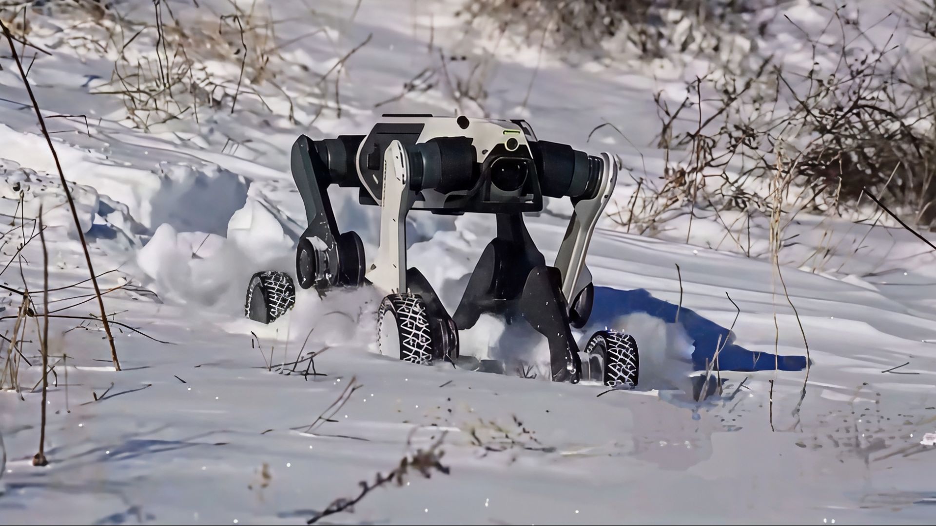 Испытание китайской робособаки в снегу и 30-градусный мороз. смотреть онлайн