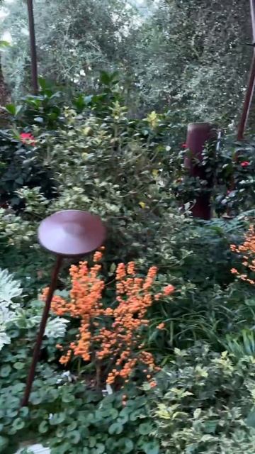 Дом цветов в Садах у залива. Средиземноморская часть Европы смотреть онлайн