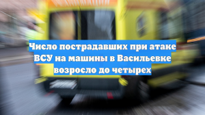 Число пострадавших при атаке ВСУ на машины в Васильевке возросло до четырех