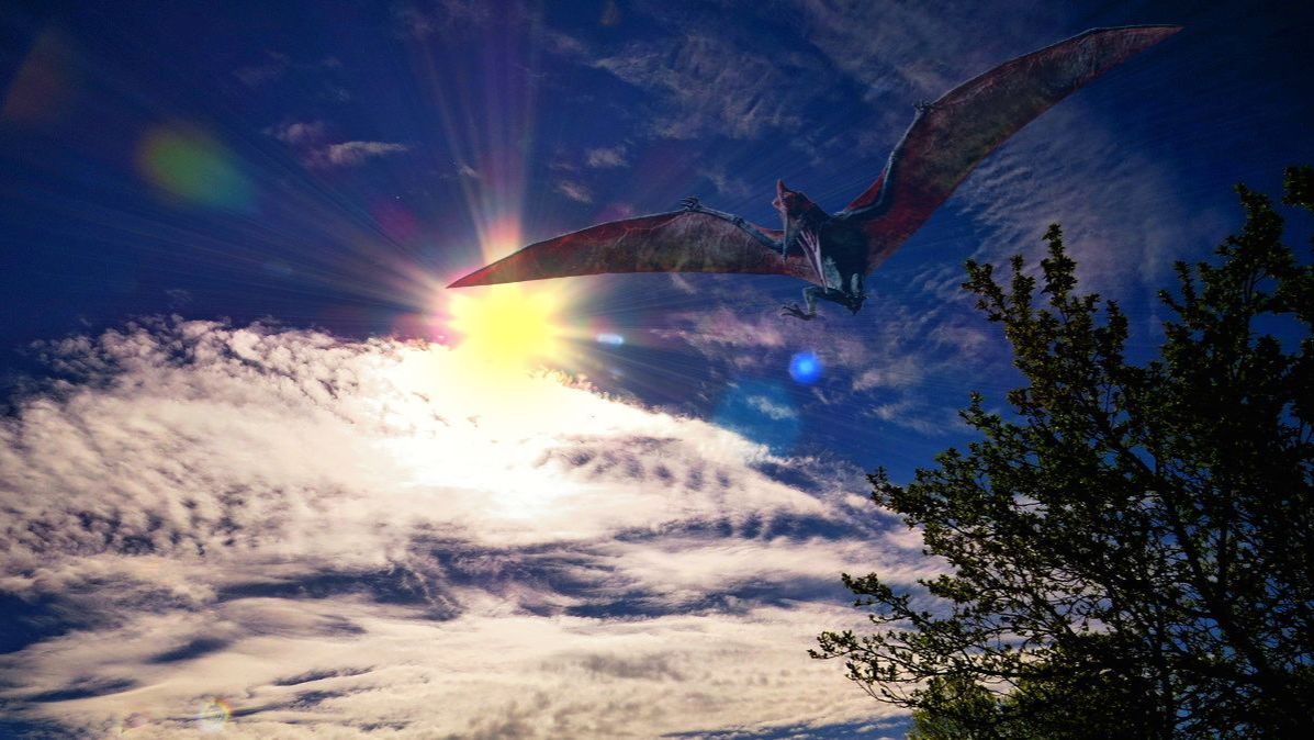 Весна под птичий гомон смотреть онлайн