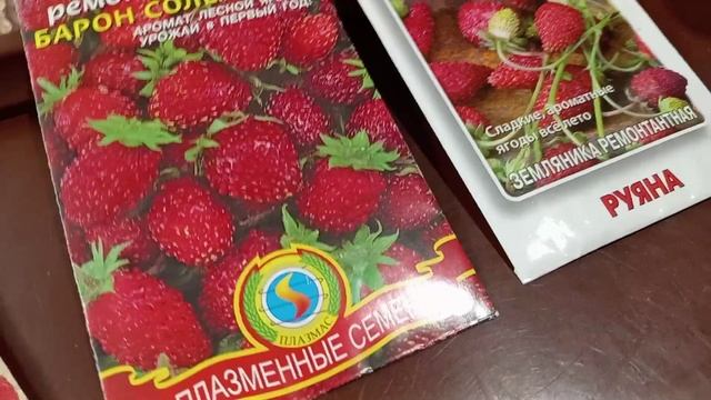 СЕЮ ЗЕМЛЯНИКУ ЛЕСНУЮ. смотреть онлайн