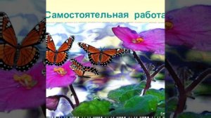 Суперхит Лети Шамиль Гарданов сл.,музыка,исполнение  автора