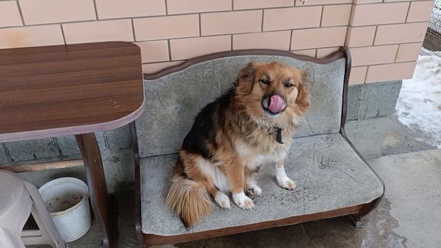 Люсенька ❤️ смотреть онлайн