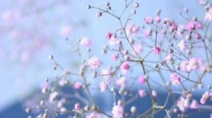 Adriano Celentano Адриано Челентано Confessa  / АУДИО