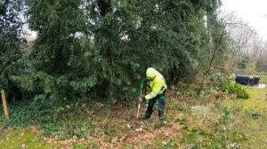 Не знаю, ПОЧЕМУ я РАНЬШЕ не удалял корни таким способом!