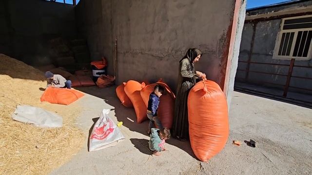 Первый покупатель фермы, Тайбех, ищет способ приобрести землю. смотреть онлайн