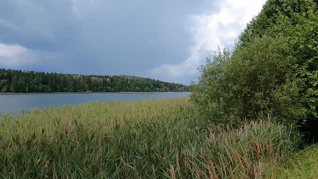 Опустил ПОДВОДНУЮ КАМЕРУ НА ДНО прозрачного ЛЕСНОГО ОЗЕРА. Большая глубина. Подводная съёмка. смотреть онлайн