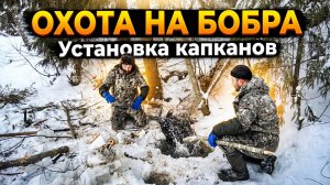 ОХОТА на БОБРА в Верховажье #51.1 \ Плов из бобра / Установка капканов