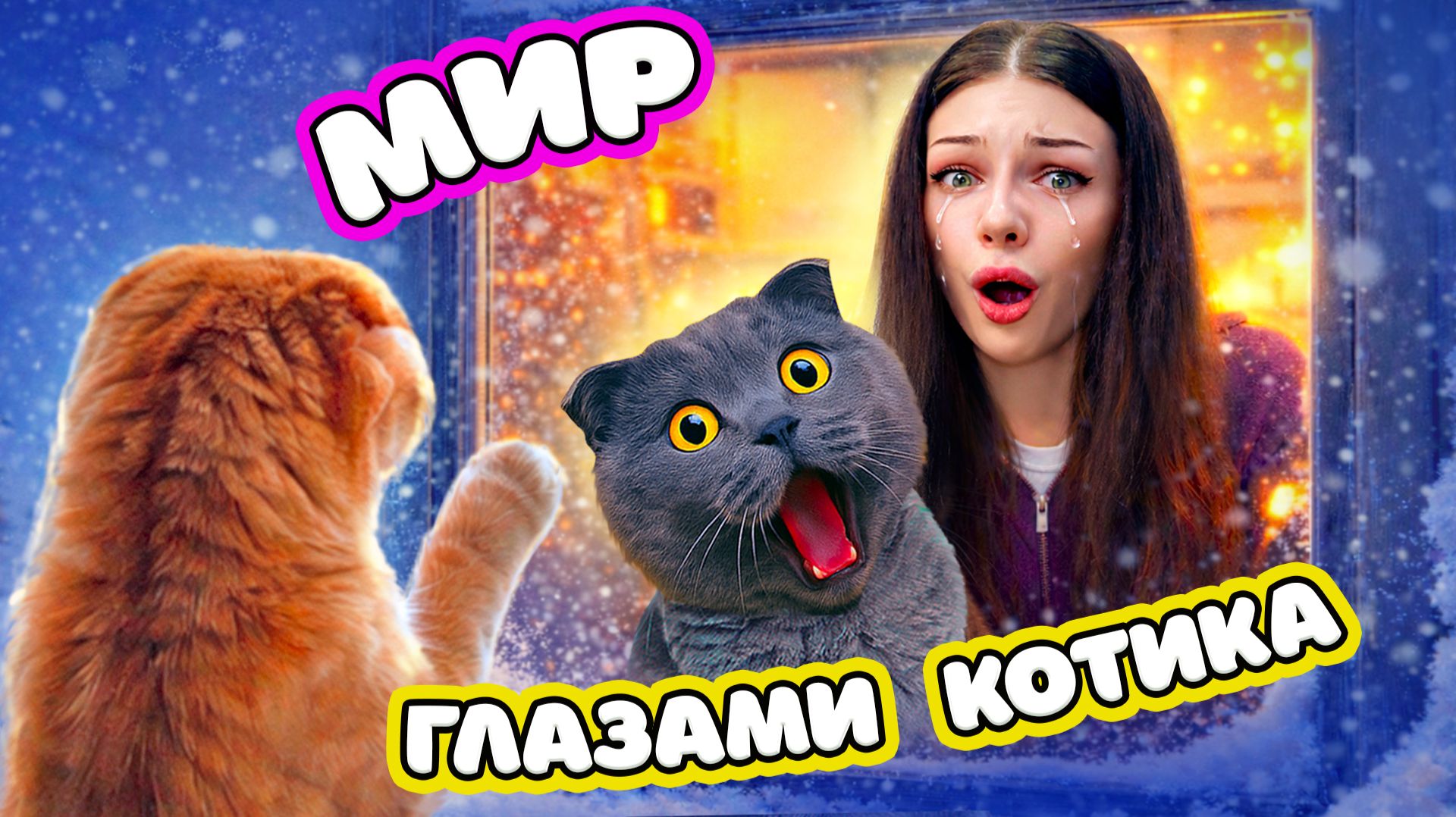 УШЕЛ ИЗ ДОМА! МИР ГЛАЗАМИ КОТИКА ПЕРСИКА | 24 ЧАСА ГЛАЗАМИ КОТА смотреть онлайн