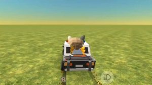 Гонщик нелегальный... #мем